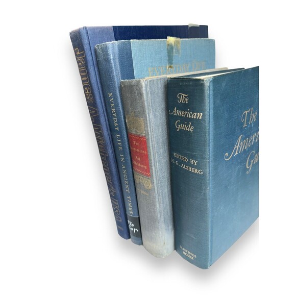 Vintage Decorative Books Shelf Staging Props Home Decor Set: BLUE OLD TONES - Picture 11 of 12